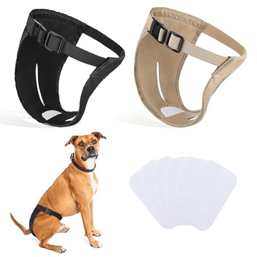 2er-Pack Hundehosen, Hundewindeln mit 6 Damenbinden, verstellbare Schutzhose für Hündinnen bei Hitze, monatliche Blutungen, wiederverwendbar, waschbar, Hygienehose für Hunde (XL-schwarz und Kamel) von INSPUTOL