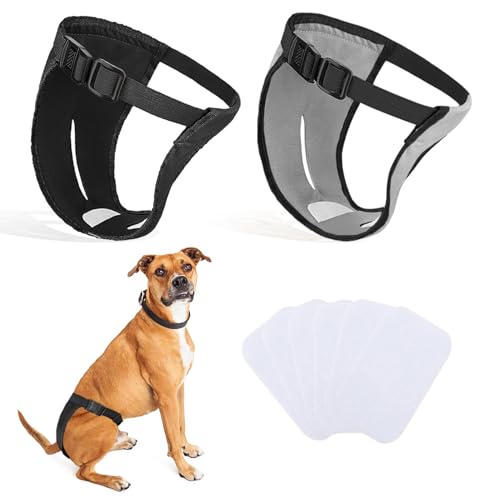 2er-Pack Hundehosen, Hundewindeln mit 6 Damenbinden, verstellbare Schutzhose für Hündinnen bei Hitze, monatliche Blutungen, wiederverwendbar, waschbar, Hygienehose für Hunde (XL-schwarz&grau) von INSPUTOL