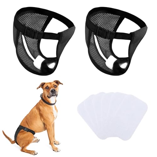 INSPUTOL 2 Stück waschbare Hundewindeln für läufige Hündinnen, Wiederverwendbare Hundehöschen mit 6 Einlagen zum monatlichen Schutz vor Blutungen, Schwarz (XL) von INSPUTOL