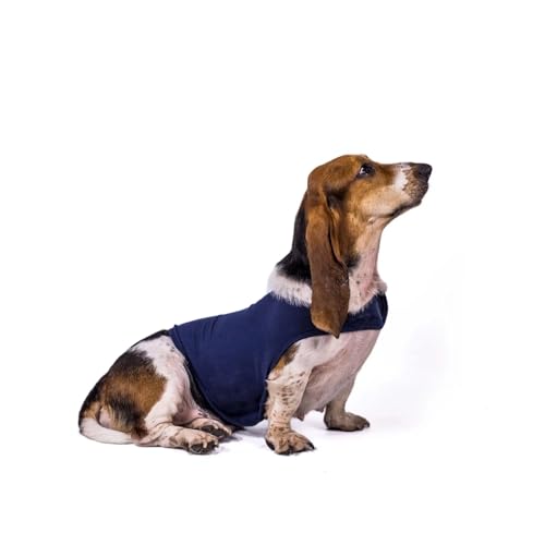 Anti-Angst-Hundeweste, Donner-Shirt, Sport-Dekompressions-Sedierungspaket, lindert Angst und Aufregung des Hundes, weiche Haustierkleidung (Color : Blue, Size : L) von INSTR