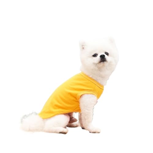 Haustier-Hundekleidung, kompatibel mit kleinen, mittelgroßen und großen Hunden, Weste, warme Baumwolle, for Welpen, Katzen, Kostüm, Mantel, Bulldogge, Chihuahua, T-Shirt, Haustierkleidung (Color : Ye Haustier-Hundekleidung, kompatibel mit kleinen, mittelgroßen und großen Hunden, Weste, warme Baumwolle, for Welpen, Katzen, Kostüm, Mantel, Bulldogge, Chihuahua, T-Shirt, Haustierkleidung (Color : Ye von INSTR