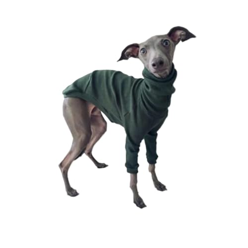 Hund Kleidung Frühling Herbst Hohe Kragen Zweibeinigen Haustier Kleidung Greyhound Whippet Rollkragen Pyjamas Warme Kleidung Hund Liefert (Color : Green, Size : L) von INSTR