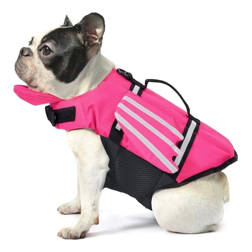 Hunde-Schwimmweste, Flügel-Design, Haustier-Schwimmweste, Hunde-Schwimmweste, Rettungsweste, Badeanzug mit Griff, kompatibel mit Schwimmbad, Strand, Bootfahren (Color : Pink, Size : M) von INSTR