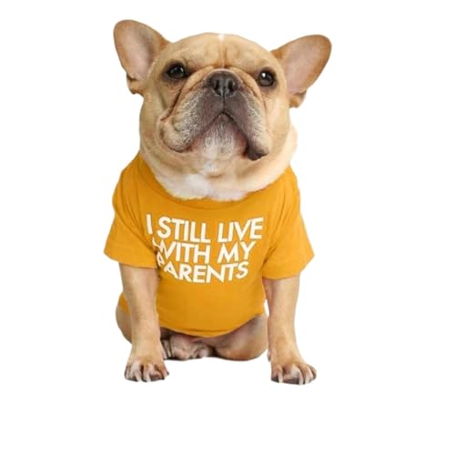 Sommer/Frühling Hundekleidung, hochwertige, atmungsaktive Haustierkleidung, weiche Buchstaben, Bedruckt, französische Bulldoggen-Kleidung, kompatibel mit T-Shirt for kleine Hunde (Color : Yellow A, von INSTR