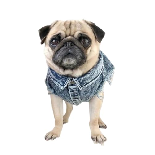Teddy Französische Bulldogge Corgi Wasserwaschende Jeansjacke Frühlings- und Sommerflut Hundeweste Haustier Hundejacke Kleidung (Color : Blue, Size : L()) von INSTR