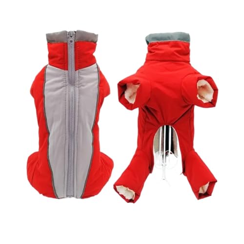 Winter-Overall for Hunde, warme und wasserdichte Haustier-Overall-Hose, männlich/weiblich, reflektierende Kleidung for kleine Hunde, Welpen-Daunenjacke (Color : Boy red, Size : M 12) von INSTR