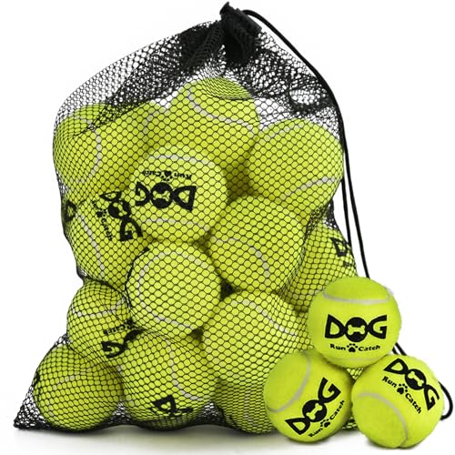 INSUM Kleine Tennisbälle für Hunde, quietschende Hundebälle mit Netztasche, SGS-zertifiziert, langlebig, ungiftig, eingebauter Quietscher, kleine Rassen, 20 Stück von INSUM