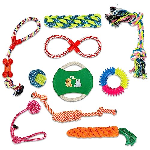 INTIRILIFE 10x Hunde Spielzeug Kauspielzeug aus Baumwolle - Spielzeug für Hunde Katzen Haustiere zum Kauen für ideale Zahnpflege zum Spielen und Entspannen INTIRILIFE 10x Hunde Spielzeug Kauspielzeug aus Baumwolle - Spielzeug für Hunde Katzen Haustiere zum Kauen für ideale Zahnpflege zum Spielen und Entspannen von INTIRILIFE