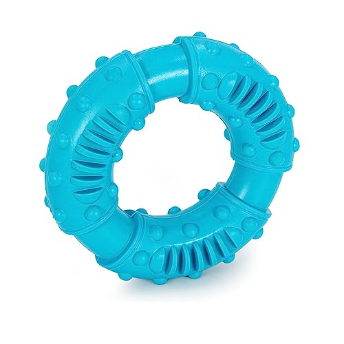 INTIRILIFE Hunde Kauspielzeug 12.5 x 4 cm Kauring aus blauem Gummi zur spielerischen Zahnpflege und Erfüllung interaktiver Bedürfnisse Hundespielzeug für großer und Kleiner Hunde von INTIRILIFE