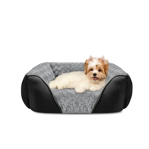 INVENHO Kleines Hundebett, rechteckig, waschbar, orthopädisch, weich, beruhigend, langlebig, mit rutschfester Unterseite INVENHO Kleines Hundebett, rechteckig, waschbar, orthopädisch, weich, beruhigend, langlebig, mit rutschfester Unterseite von INVENHO