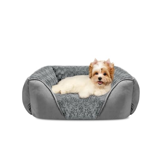 INVENHO Kleines Hundebett, rechteckig, waschbar, orthopädisch, weich, beruhigend, langlebig, mit rutschfester Unterseite INVENHO Kleines Hundebett, rechteckig, waschbar, orthopädisch, weich, beruhigend, langlebig, mit rutschfester Unterseite von INVENHO