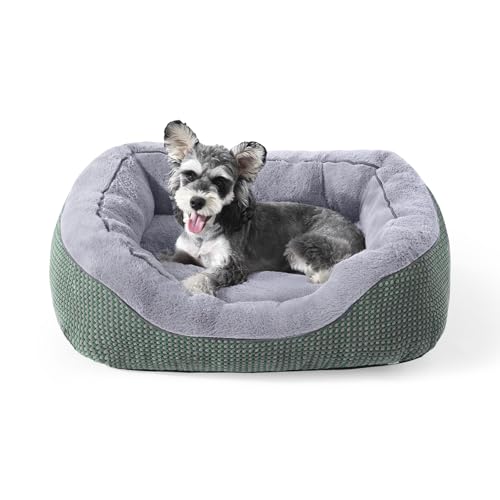 INVENHO Kleines Hundebett, waschbar, orthopädisch, beruhigend, wärmend, langlebig, mit rutschfester Unterseite INVENHO Kleines Hundebett, waschbar, orthopädisch, beruhigend, wärmend, langlebig, mit rutschfester Unterseite von INVENHO