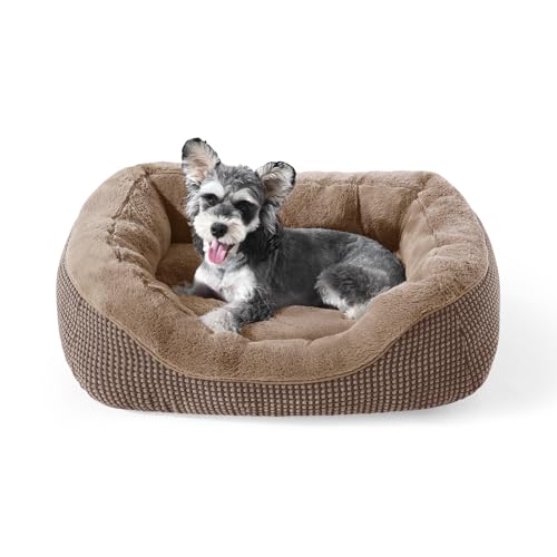 INVENHO Kleines Hundebett, waschbar, orthopädisch, beruhigend, wärmend, langlebig, mit rutschfester Unterseite INVENHO Kleines Hundebett, waschbar, orthopädisch, beruhigend, wärmend, langlebig, mit rutschfester Unterseite von INVENHO