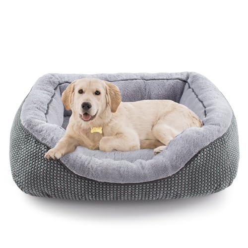 INVENHO Mittelgroßes Hundebett für mittelgroße Hunde, waschbar, rechteckig, orthopädisches Hundebett, wärmend, weich, beruhigend, schlafend, langlebig, Haustierbett mit rutschfester Unterseite, Größe INVENHO Mittelgroßes Hundebett für mittelgroße Hunde, waschbar, rechteckig, orthopädisches Hundebett, wärmend, weich, beruhigend, schlafend, langlebig, Haustierbett mit rutschfester Unterseite, Größe von INVENHO