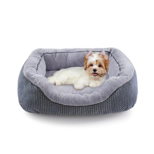 INVENHO Orthopädisches Hundebett für kleine Hunde, wärmend, weich, beruhigend, langlebig, mit rutschfester Unterseite INVENHO Orthopädisches Hundebett für kleine Hunde, wärmend, weich, beruhigend, langlebig, mit rutschfester Unterseite von INVENHO