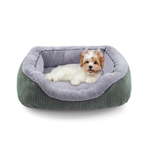 INVENHO Orthopädisches Hundebett für kleine Hunde, wärmend, weich, beruhigend, langlebig, mit rutschfester Unterseite INVENHO Orthopädisches Hundebett für kleine Hunde, wärmend, weich, beruhigend, langlebig, mit rutschfester Unterseite von INVENHO