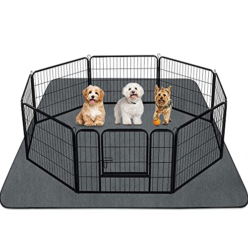 INVENHO Waschbare Urinierunterlagen für Hunde, 182,9 x 182,9 cm, Wiederverwendbare Hundeunterlagen, extra groß, rutschfest, schwere Saugfähigkeit, Welpen-Pads, schnell trocknend, Grau INVENHO Waschbare Urinierunterlagen für Hunde, 182,9 x 182,9 cm, Wiederverwendbare Hundeunterlagen, extra groß, rutschfest, schwere Saugfähigkeit, Welpen-Pads, schnell trocknend, Grau von INVENHO