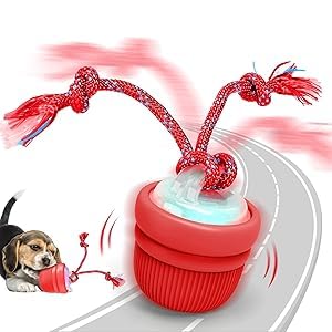 IOKHEIRA Interaktives Hunde Ball Spielzeug, Strapazierfähiger Automatisch Rollender Ball von IOKHEIRA