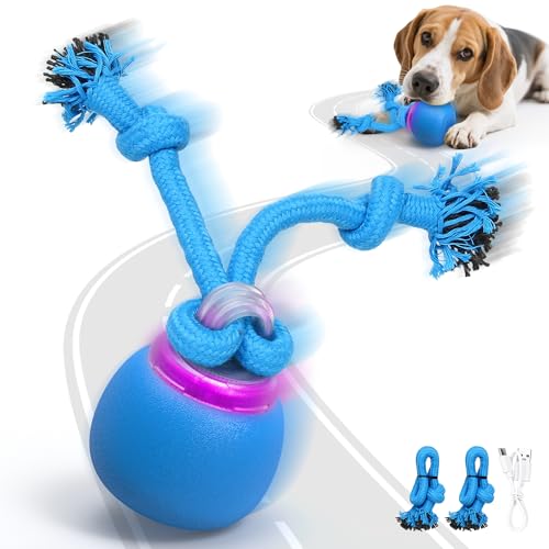 IOKHEIRA Interaktive Hundefreizeitprodukte - Ladebare Elektrische Hunde-Bälle, Berührungsweckfunktion, Gelächter, Perfekt für die Innen- und Außenspielzeit von Welpen und Mittelgroße Hunde von IOKHEIRA