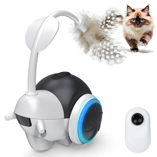 IOKHEIRA Interaktive Katzenspielzeuge, Katzenspielzeuge Für Wohnungskatzen, 2 Betriebsmodi, Bewegungsaktivierte Automatische Katzenspielzeuge, USB-aufladbar IOKHEIRA Interaktive Katzenspielzeuge, Katzenspielzeuge Für Wohnungskatzen, 2 Betriebsmodi, Bewegungsaktivierte Automatische Katzenspielzeuge, USB-aufladbar von IOKHEIRA