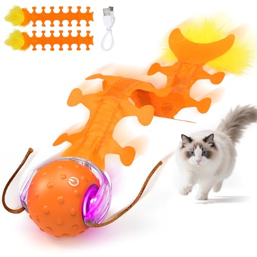 IOKHEIRA Katzenspielzeug, interaktive Katzenkugelspielzeug von IOKHEIRA