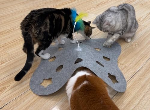 IOKHEIRA Katzenspielzeug Interaktiv für Hauskatzen, Katzenspielzeug mit Federn und Loch von IOKHEIRA