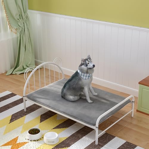 IOTXY Metallrahmen Hundebett mit Waschbare Hundematte - Haustierbett für Hunde Katzen, Weiß, Large von IOTXY