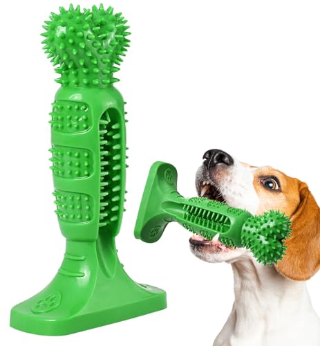 IPTPAS Kauspielzeug für Hunde zur Zahnreinigung, Naturkautschuk Zahnbürstenstab mit 360°-Borsten, langlebiges Hundespielzeug für aggressive Kauer, interaktives Zahnspielzeug für mittelgroße und große IPTPAS Kauspielzeug für Hunde zur Zahnreinigung, Naturkautschuk Zahnbürstenstab mit 360°-Borsten, langlebiges Hundespielzeug für aggressive Kauer, interaktives Zahnspielzeug für mittelgroße und große von IPTPAS