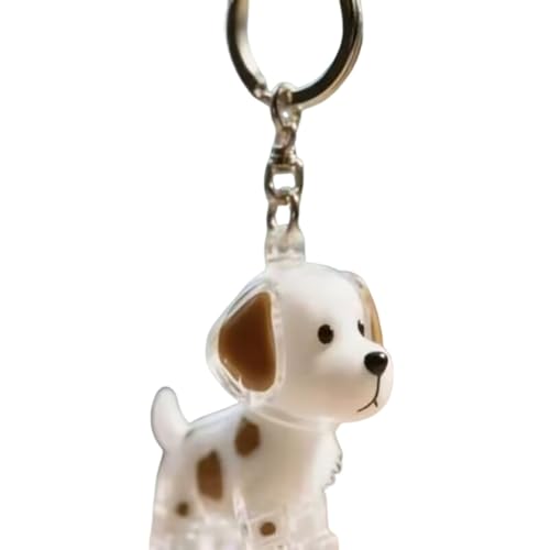 IRCKONCI Schlüsselanhänger for Sammeln Von Hundehaaren, Andenken An Tierhaare, Erinnerungsgeschenke for Hunde, Nachfüllbarer Schlüsselanhänger for Hundehaare, Geschenk for Tierliebhaber(D) von IRCKONCI