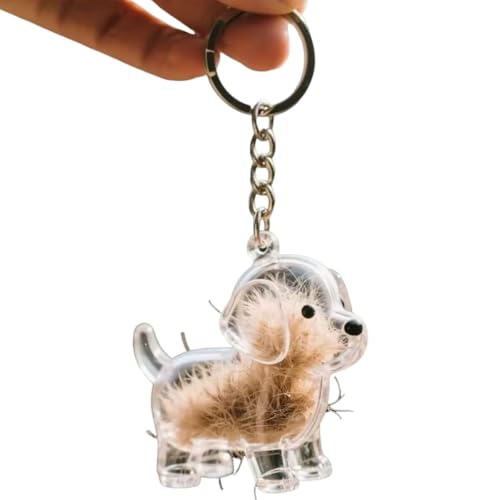 IRCKONCI Schlüsselanhänger for Sammeln Von Hundehaaren, Andenken An Tierhaare, Erinnerungsgeschenke for Hunde, Nachfüllbarer Schlüsselanhänger for Hundehaare, Geschenk for Tierliebhaber(E) von IRCKONCI