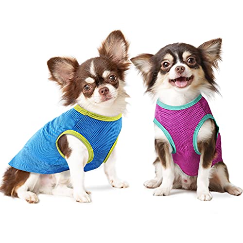 IREENUO Hunde-Shirt, für kleine Hunde und Katzen, schnelltrocknend, atmungsaktiv, weich, dehnbar, 2 Stück von IREENUO