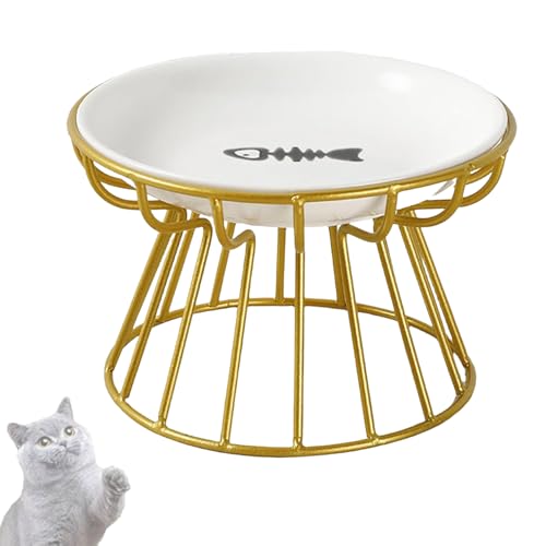 Katzenschale ErhöHt Keramik, Keramischer Katzenschalenhalter mit Metallhalter, Rutschfester, Leicht Zu Reinigen, Bartfreundlicher Erbrechenschutz Katzenschale ErhöHt Keramik, Keramischer Katzenschalenhalter mit Metallhalter, Rutschfester, Leicht Zu Reinigen, Bartfreundlicher Erbrechenschutz von IRILXGAY