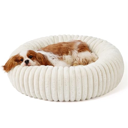 IRIRI Beruhigendes Haustierbett, Weiches, Rundes Hunde- und Katzenbett aus Plüsch, Abnehmbar und Waschbar, Warmes Winterkissen for Kleine/Mittelgroße Haustiere(Weiß,XL) von IRIRI