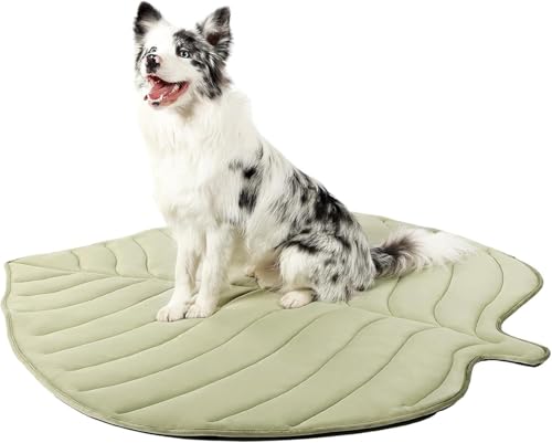 IRIRI Kühlmatte for Haustiere for Katzen und Hunde – 2-in-1-Wendeunterlage in Blattform, Ganzjährig Verwendbar, Waschbar for Boden/Sofa/Auto/Haustierbett, Größen for Kleine Bis Große Haustiere(Green,L IRIRI Kühlmatte for Haustiere for Katzen und Hunde – 2-in-1-Wendeunterlage in Blattform, Ganzjährig Verwendbar, Waschbar for Boden/Sofa/Auto/Haustierbett, Größen for Kleine Bis Große Haustiere(Green,L von IRIRI