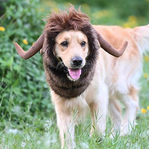 Hornperücke, Hundekostüm, lustiges Hunde-Halloween-Kostüm, Cosplay, lebendiger Stier, Haustier, Ochsenhut, Horn, Kopfbedeckung, Hundekleidung für kleine, mittelgroße bis große Hunde, Welpen, von ISDULA