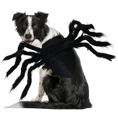 Hunde-Spinnenkostüm, lustiges Hunde-Halloween-Kostüm, Cosplay, pelzige Riesenspinne, Haustier-Outfit, Hundekleidung für kleine mittelgroße Hunde, Katzen, Welpen, Halloween-Party-Dekoration, Hunde-Spinnenkostüm, lustiges Hunde-Halloween-Kostüm, Cosplay, pelzige Riesenspinne, Haustier-Outfit, Hundekleidung für kleine mittelgroße Hunde, Katzen, Welpen, Halloween-Party-Dekoration, von ISDULA
