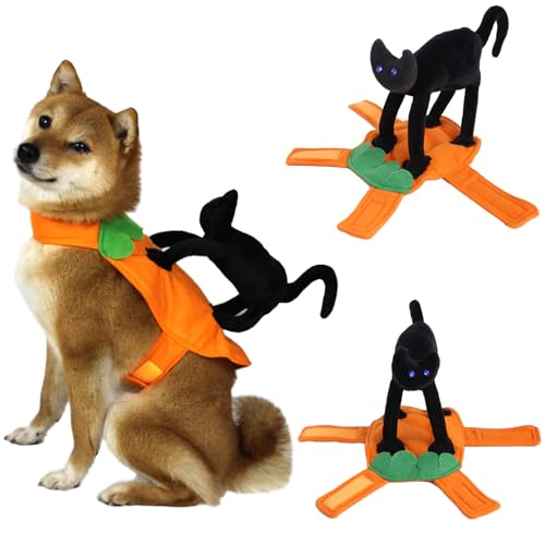 Schwarze Katze Reiter Hundekostüm, Neuheit Hund Halloween Kostüme Haustier Reitkostüm, Hundekleidung für kleine mittelgroße Hunde, Katzen, Welpen, Cosplay, lustiges Ritterstil-Outfit, Partybekleidung Schwarze Katze Reiter Hundekostüm, Neuheit Hund Halloween Kostüme Haustier Reitkostüm, Hundekleidung für kleine mittelgroße Hunde, Katzen, Welpen, Cosplay, lustiges Ritterstil-Outfit, Partybekleidung von ISDULA