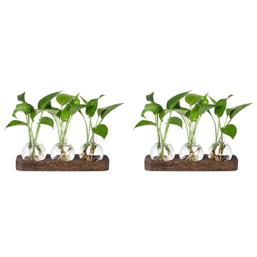 ISKDJBJG 2X Pflanzenvermehrungsstationen Glasvasenstation Retro-Pflanzenterrarium mit Holztablett Blumenzwiebelvase Heimbüro-Dekoration ISKDJBJG 2X Pflanzenvermehrungsstationen Glasvasenstation Retro-Pflanzenterrarium mit Holztablett Blumenzwiebelvase Heimbüro-Dekoration von ISKDJBJG