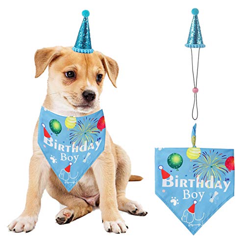 Hund Geburtstag Bandana Hut Set, Hund Geburtstag Party Supplies Hund Bandana Junge Mädchen Welpe Geburtstag Hut Schal für kleine mittelgroße Hunde Haustier (blau) von ISMARTEN