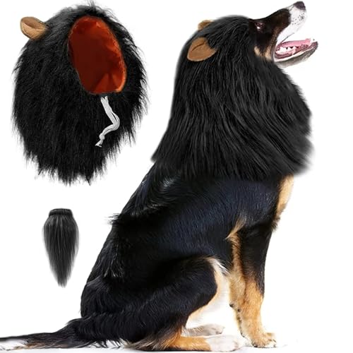 Mähne für Hund mit Schwanz süße Hundehähne mit Ohren lustig Kostüm dekoratives realistisches Kostüm für Halloween -Fotoshootings Party, m für von ISOYTERO