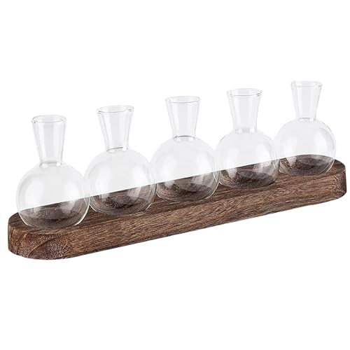 Propagationsstation 5pcs Terrariumglas mit Holzständer, Pflanzenterrarium Desktop Clear Glass Vase, Innenhydroponik -Glühbirnen -Pflanzer für Office Decorstation Propagationsstation 5pcs Terrariumglas mit Holzständer, Pflanzenterrarium Desktop Clear Glass Vase, Innenhydroponik -Glühbirnen -Pflanzer für Office Decorstation von ISOYTERO