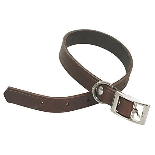 CHAPUIS SELLERIE SLA616 Hundehalsband - Braunes Leder - Breite 16 mm - Länge 40 cm - Größe S von ITAL DOG