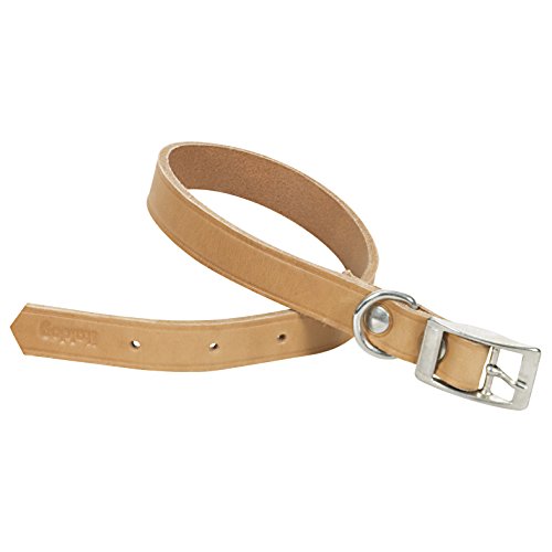 ITAL DOG CHAPUIS SELLERIE SLA624 Hundehalsband - Leder, Natur - Breite 40 mm - Länge 70 cm - Größe XL von ITAL DOG