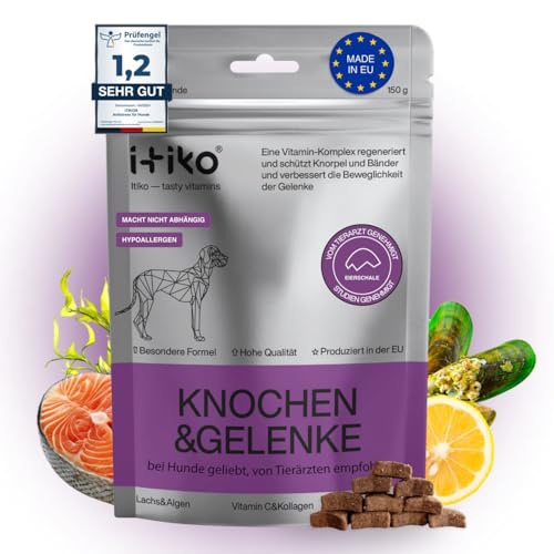 ITIKO Gelenk- & Knochenschutz für Hunde | Grünlippmuschel Hund | MSM, Glucosamin, Chondroitin & Omega 3 für Hund | Ersatz für Gelenktabletten Hunde ITIKO Gelenk- & Knochenschutz für Hunde | Grünlippmuschel Hund | MSM, Glucosamin, Chondroitin & Omega 3 für Hund | Ersatz für Gelenktabletten Hunde von ITIKO