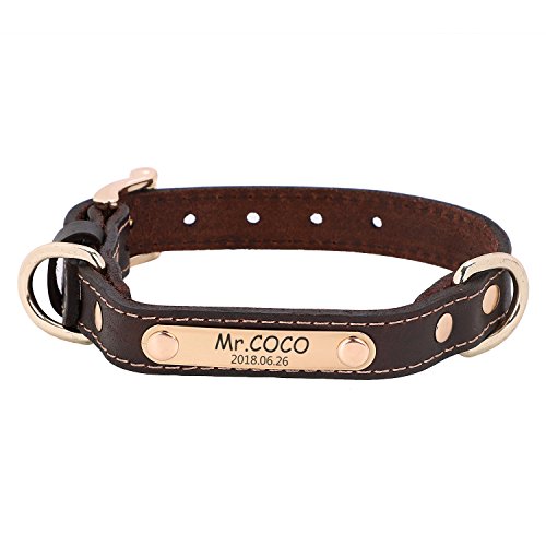ITODA Halsband Weiches Leder Hundehalsband mit D-Ring für Hunde Metall Marke mit Gravur nach Wunsch Halsband in Verschiedene Größe und Farben für Spazieren Wandern Reise Outdoor Training Braun M ITODA Halsband Weiches Leder Hundehalsband mit D-Ring für Hunde Metall Marke mit Gravur nach Wunsch Halsband in Verschiedene Größe und Farben für Spazieren Wandern Reise Outdoor Training Braun M von ITODA