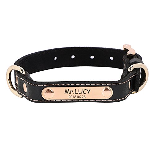 ITODA Halsband Weiches Leder Hundehalsband mit D-Ring für Hunde Metall Marke mit Gravur nach Wunsch Halsband in Verschiedene Größe und Farben für Spazieren Wandern Reise Outdoor Training Schwarz XS ITODA Halsband Weiches Leder Hundehalsband mit D-Ring für Hunde Metall Marke mit Gravur nach Wunsch Halsband in Verschiedene Größe und Farben für Spazieren Wandern Reise Outdoor Training Schwarz XS von ITODA