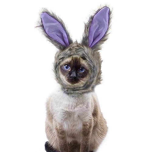 Katzenhut Warm Plüsch Bunny Kaninchen Hut Verstellbare Haustier Kopfbedeckung Halloween Party Cosplay Kostüm für kleine Hunde Katzen von ITODA