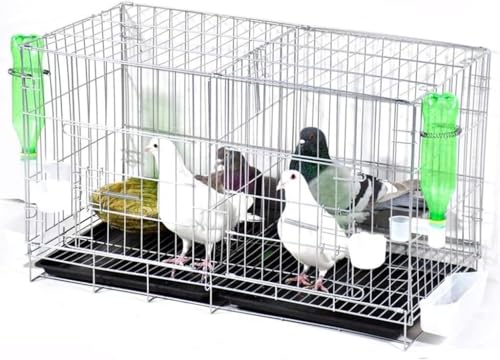 Professioneller Vogelkäfig für Haustiere, Vogelträger, Gartendekoration, Papageienkäfige für große Vögel, großer Zuchttaubenkäfig, Eisenkäfig mit Trennwänden, Papageienliebesvogel-Eichhörnchenkäfig Professioneller Vogelkäfig für Haustiere, Vogelträger, Gartendekoration, Papageienkäfige für große Vögel, großer Zuchttaubenkäfig, Eisenkäfig mit Trennwänden, Papageienliebesvogel-Eichhörnchenkäfig von IUBGFTO