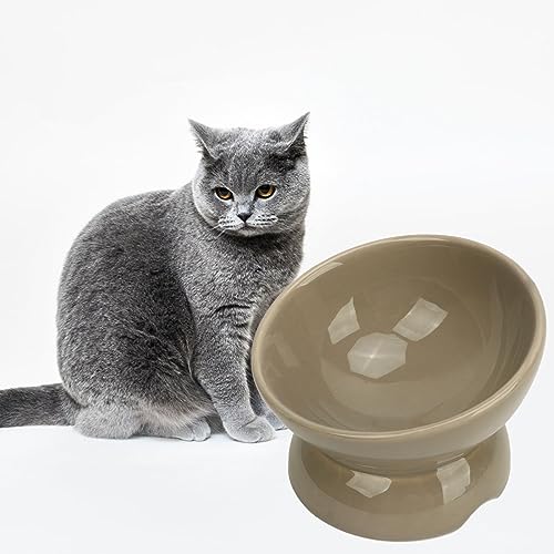 Erhöhte Katzennäpfe aus Keramik, Erhöhte Futter- und Wassernäpfe, Futternapf für Haustiere, Schützt die Wirbelsäule von Katzen, Futternapf für Katzen und Kleine Hunde Im Innenbereich,(Grau) von IUIBMI