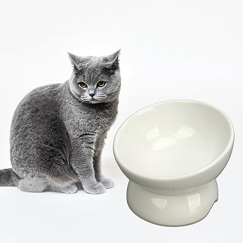 Erhöhte Katzennäpfe aus Keramik, Erhöhte Futter- und Wassernäpfe, Futternapf für Haustiere, Schützt die Wirbelsäule von Katzen, Futternapf für Katzen und Kleine Hunde Im Innenbereich,(Weiß) von IUIBMI